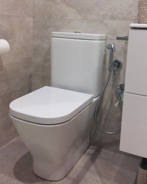 trabajo de fontanería: reforma de baño en donostia. mueble